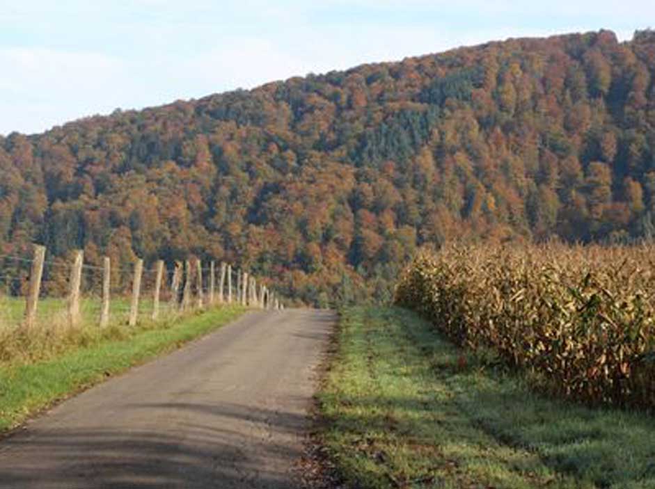 Haus Zaubernuss Landschaft