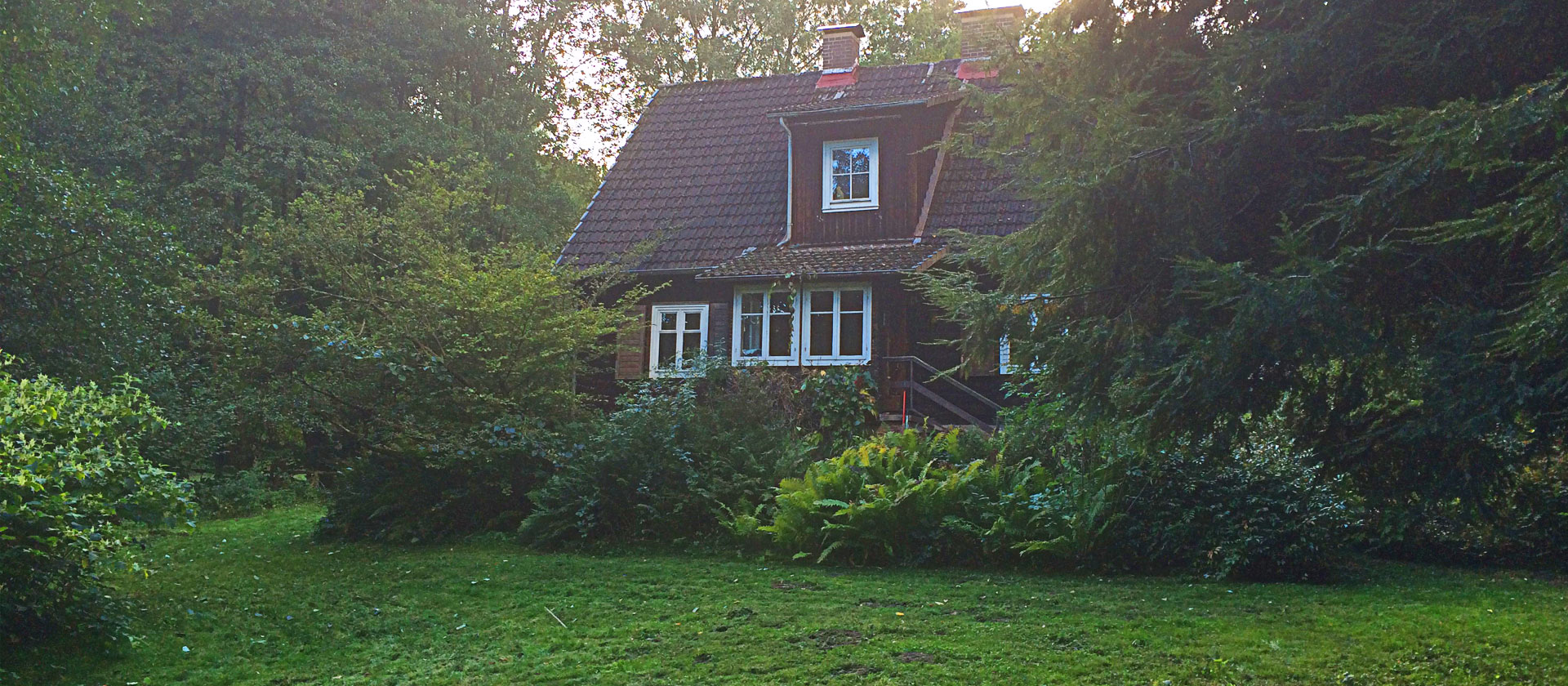 start4-haus.jpg