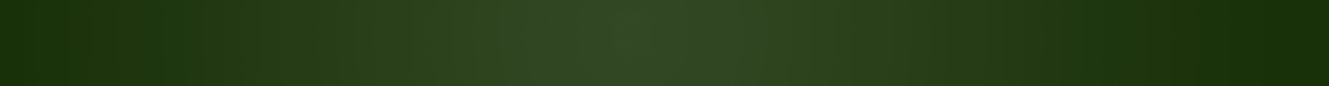 zauber banner3
